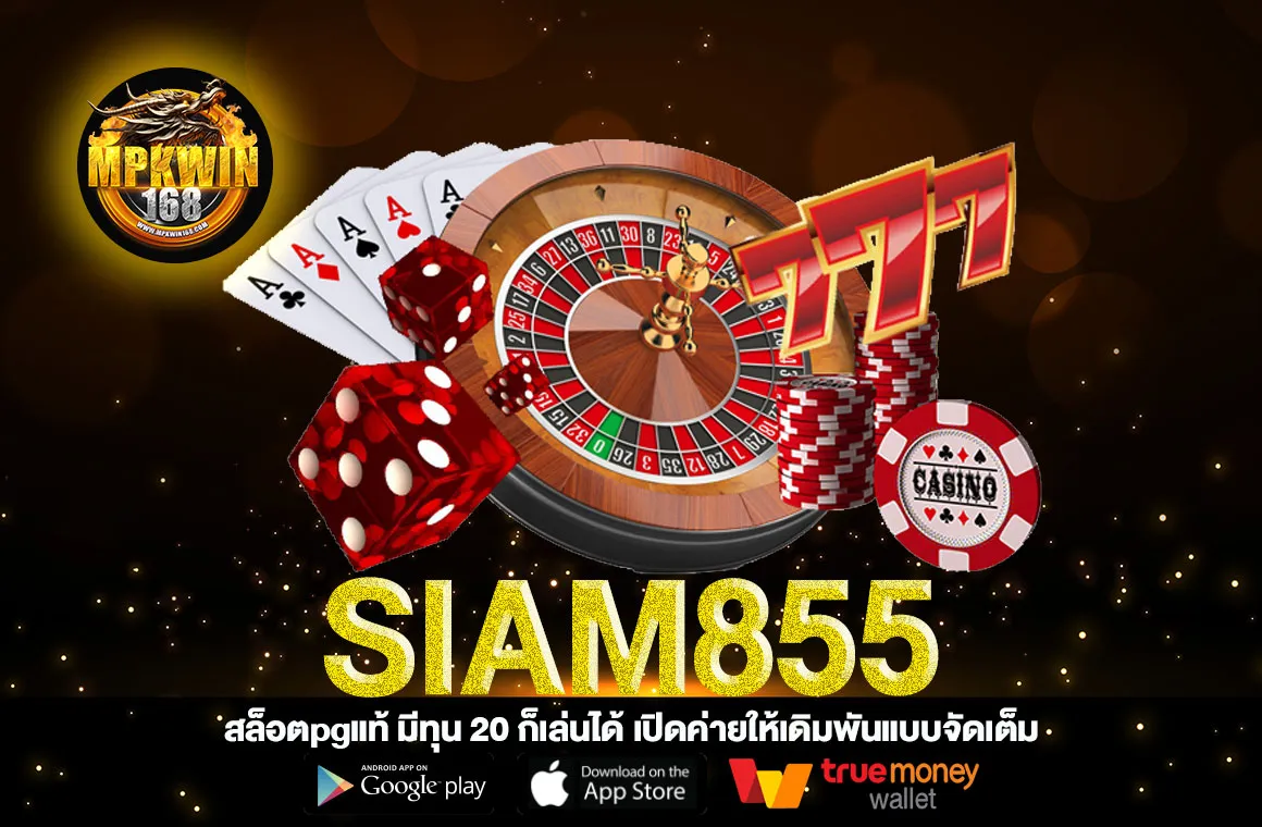 SIAM855